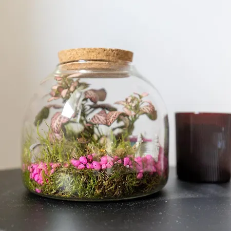 I Paralumi - Design, Luce E Relax A